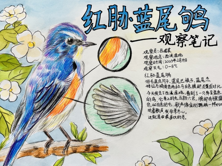 大逃脱第二季免费观看