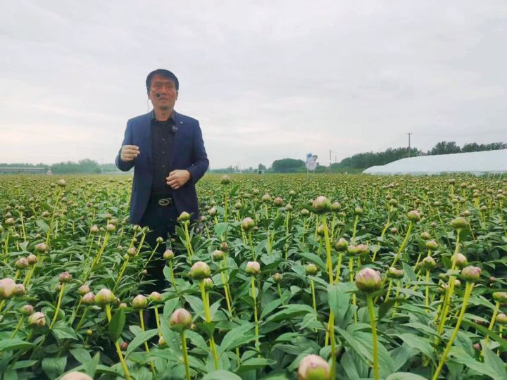 花_副本.jpg