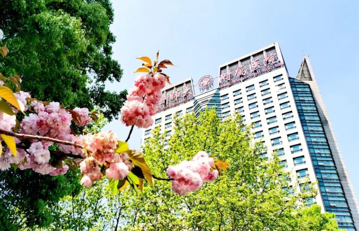 杭师大附属医院.jpg