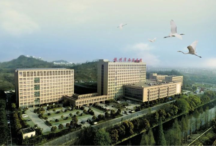 杭州市西溪.jpg