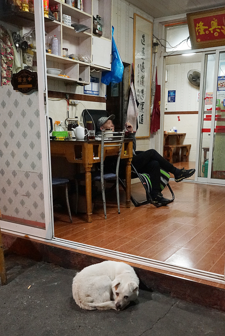 DSC06109.jpg