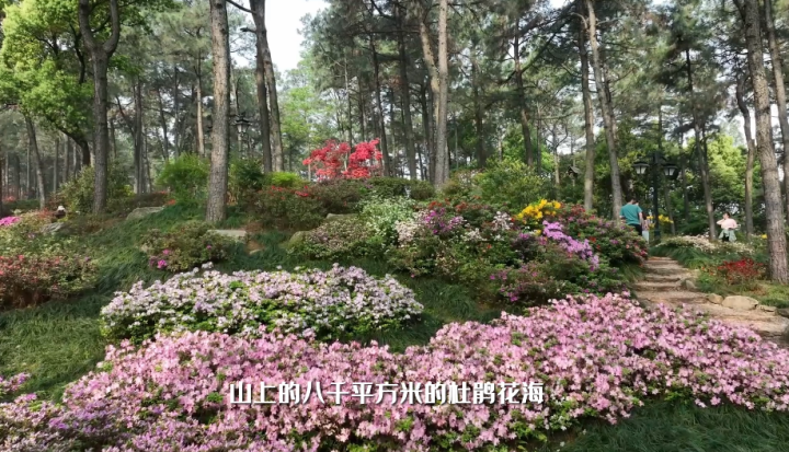 微信图片_20230429220309.png
