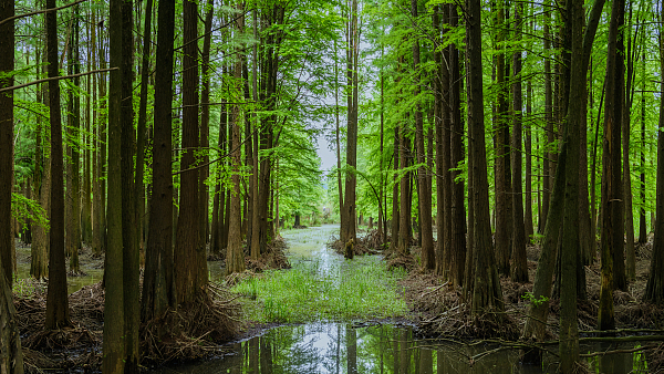 临安青山湖 3.jpg