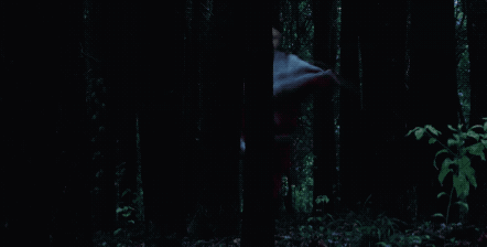 23.gif