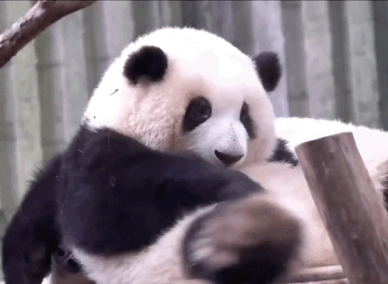 0033ImPzly1hdn7whlmeeg60lc0flu1202.gif