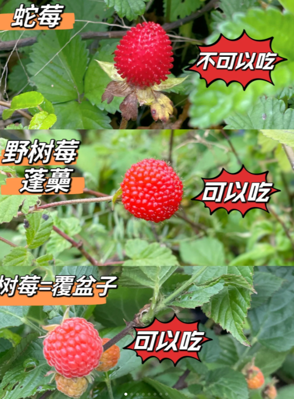 QQ截图20230508130927.png