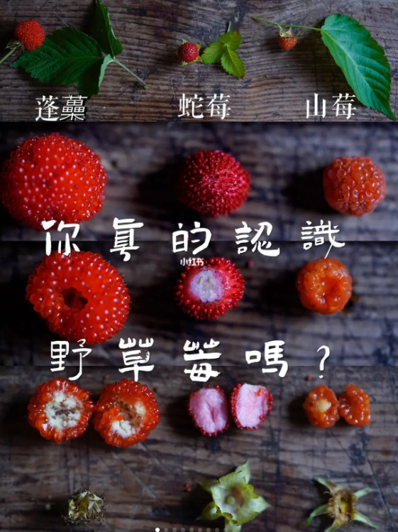 QQ截图20230508131122.png
