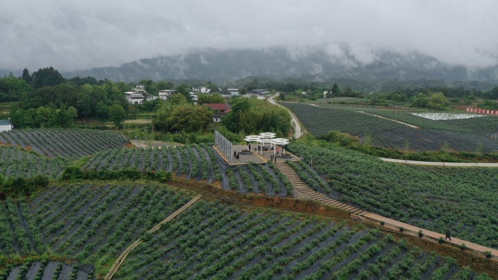 DJI_0369.JPG