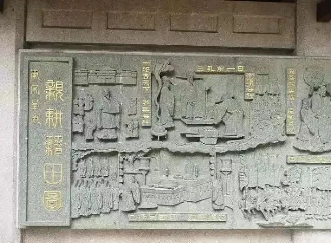 八卦田3.jpg