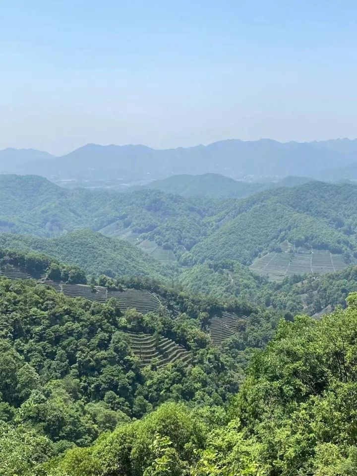 十里琅珰2.jpg