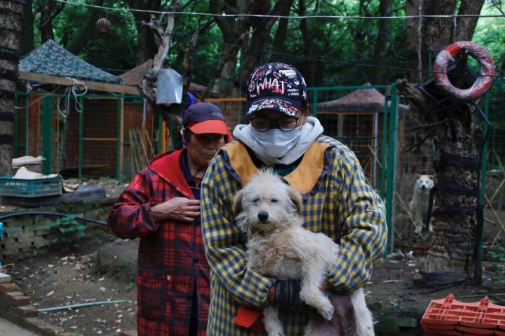 05.jpg