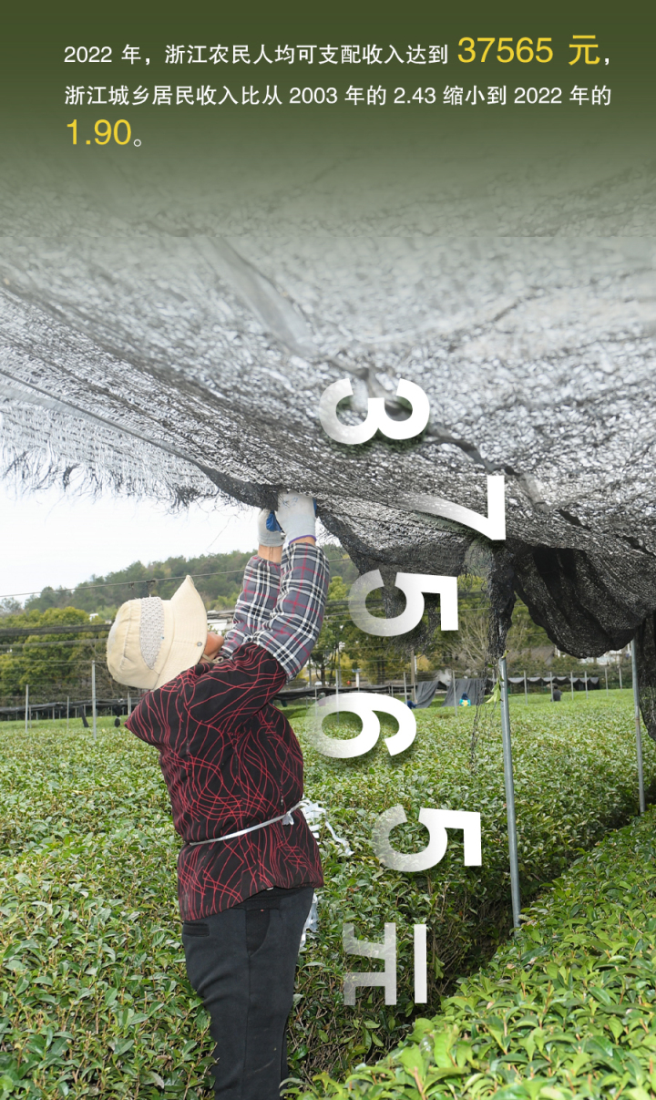 千万工程-3.jpg