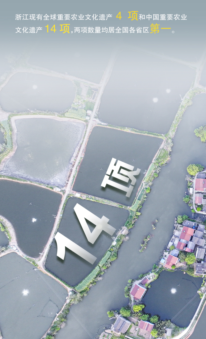 千万工程-5.jpg