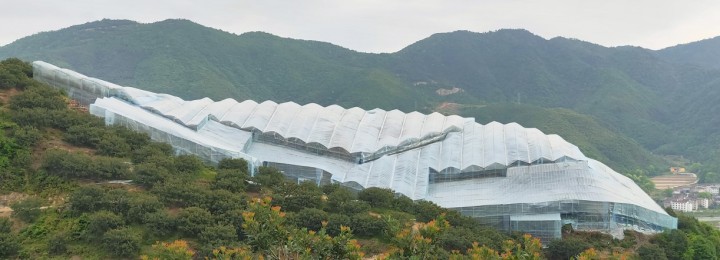 图片10.jpg