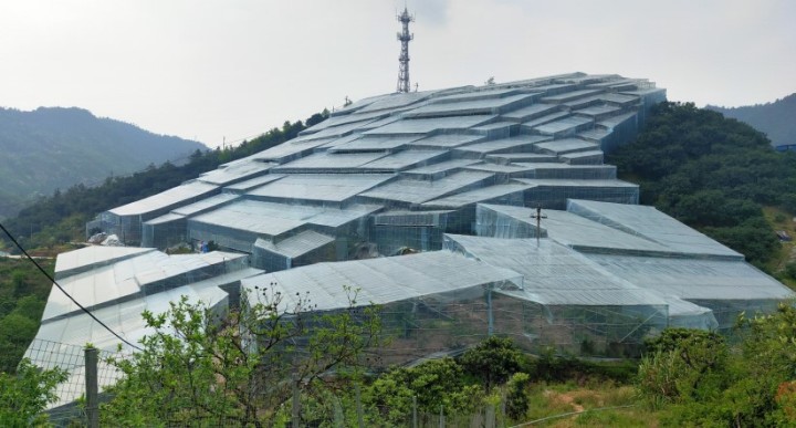 图片11.jpg