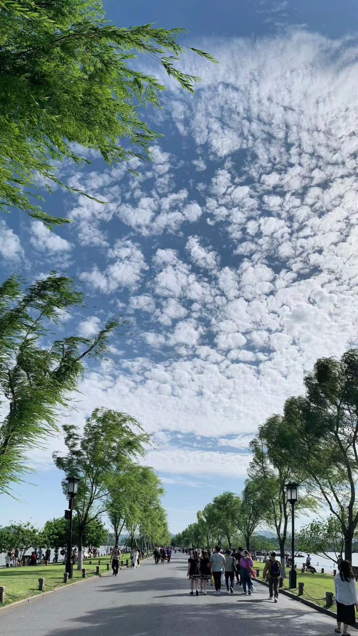 微信图片_20230524120242.jpg