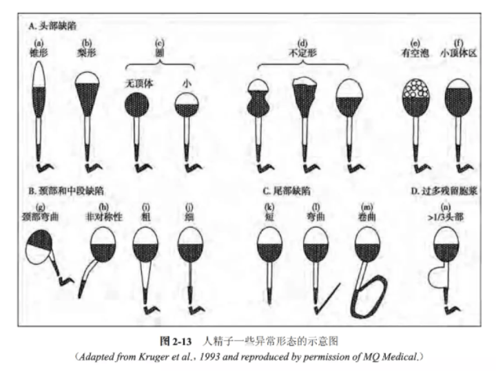 image011.png