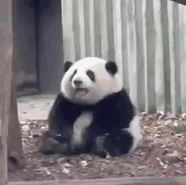 微信图片_20230426095140.png