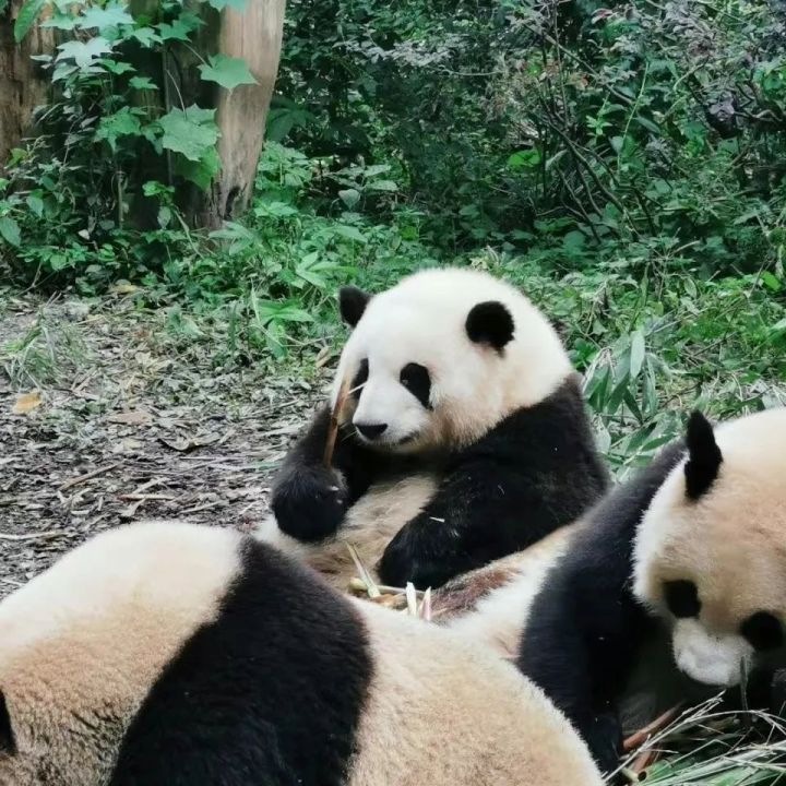 微信图片_20230426095144.jpg