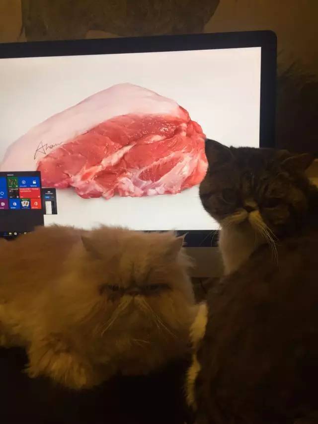 微信图片_20230223132038.jpg