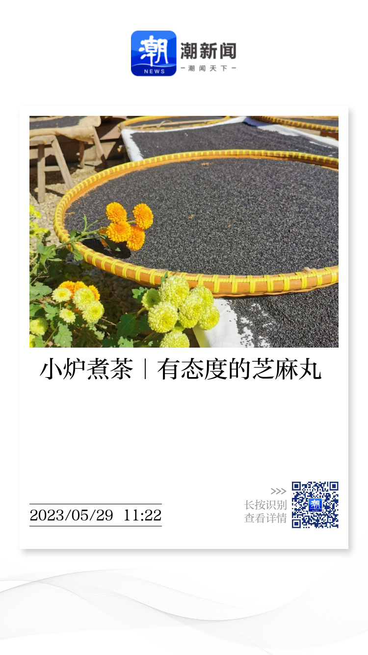 小炉煮茶｜西湖有妹名“湘湖”