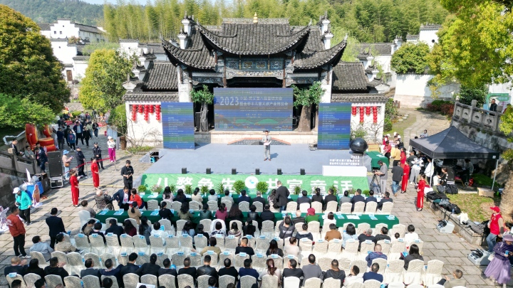 武义第八届童话大会开幕.jpg