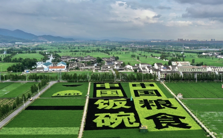 微信图片_20230531171839.jpg