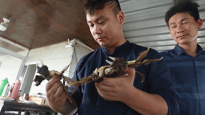 微信图片_20220929013332.gif
