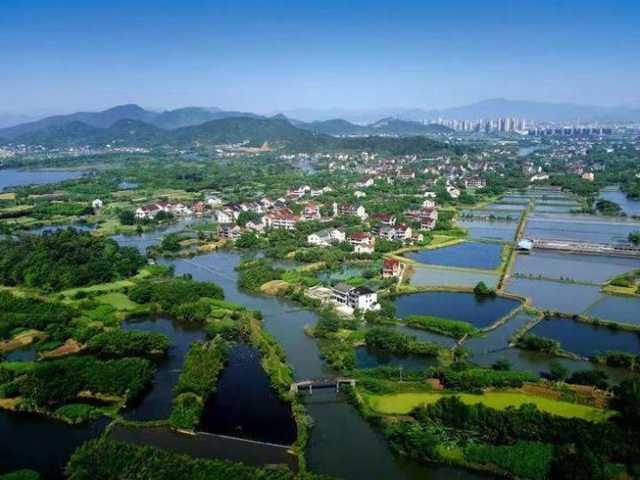 德清聚焦湿地碳汇 共护生态底色
