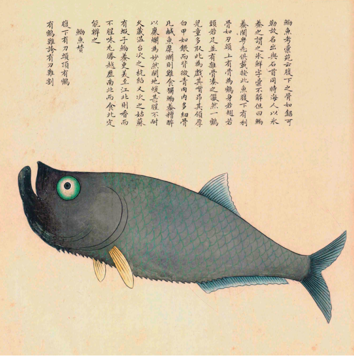 勒.png