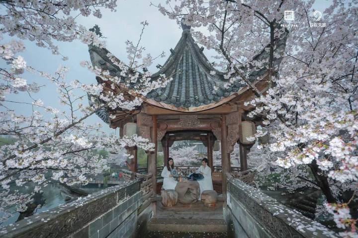 微信图片_20230324192722.jpg