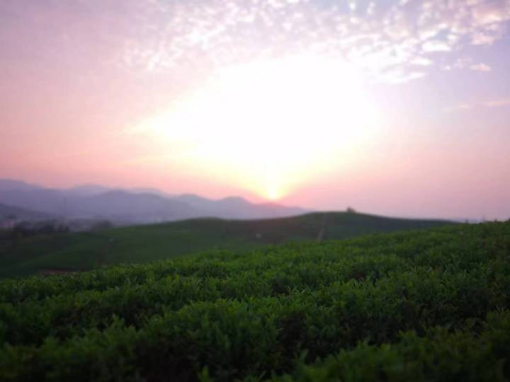 风景3.jpg