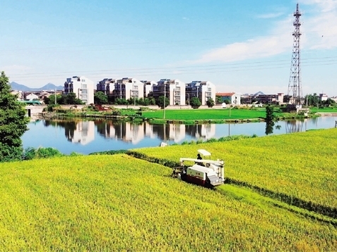 黄贤村:传统种粮村,营造诗意田园风光