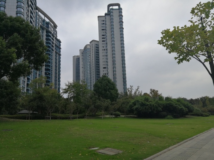 5555.jpg
