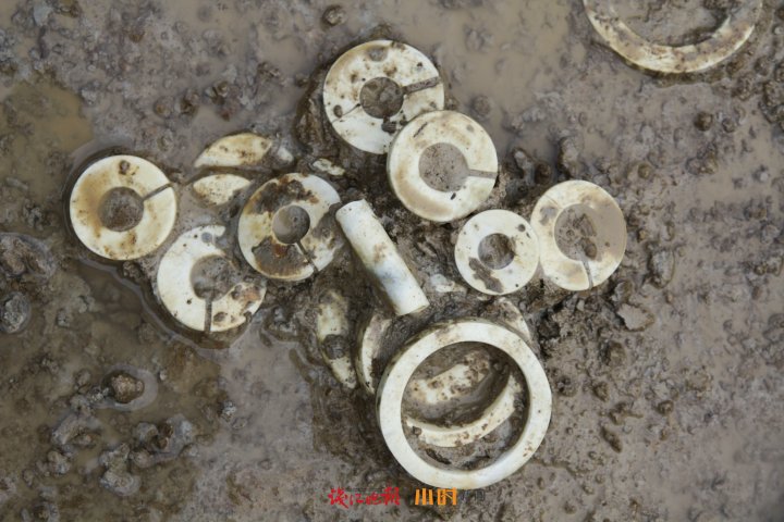 batch_IMG_0202.JPG