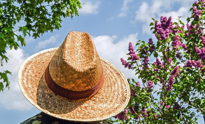 hat-1379590_1280.jpg