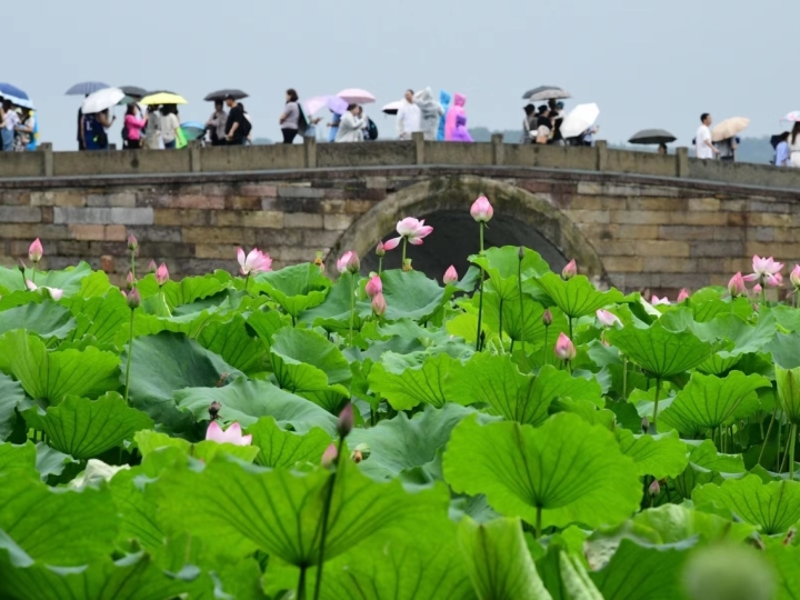 浙江今年首个暴雨警报来了,杭州或将出现今年入梅以来最强降水