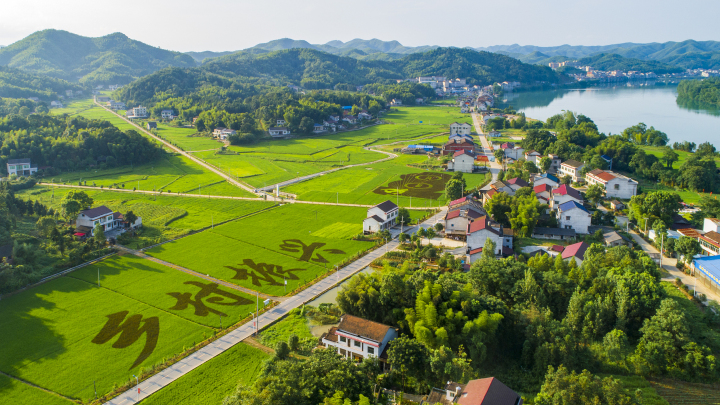 VCG211341508240.jpg