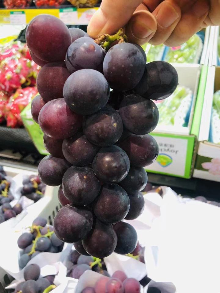 巨峰葡萄.jpg