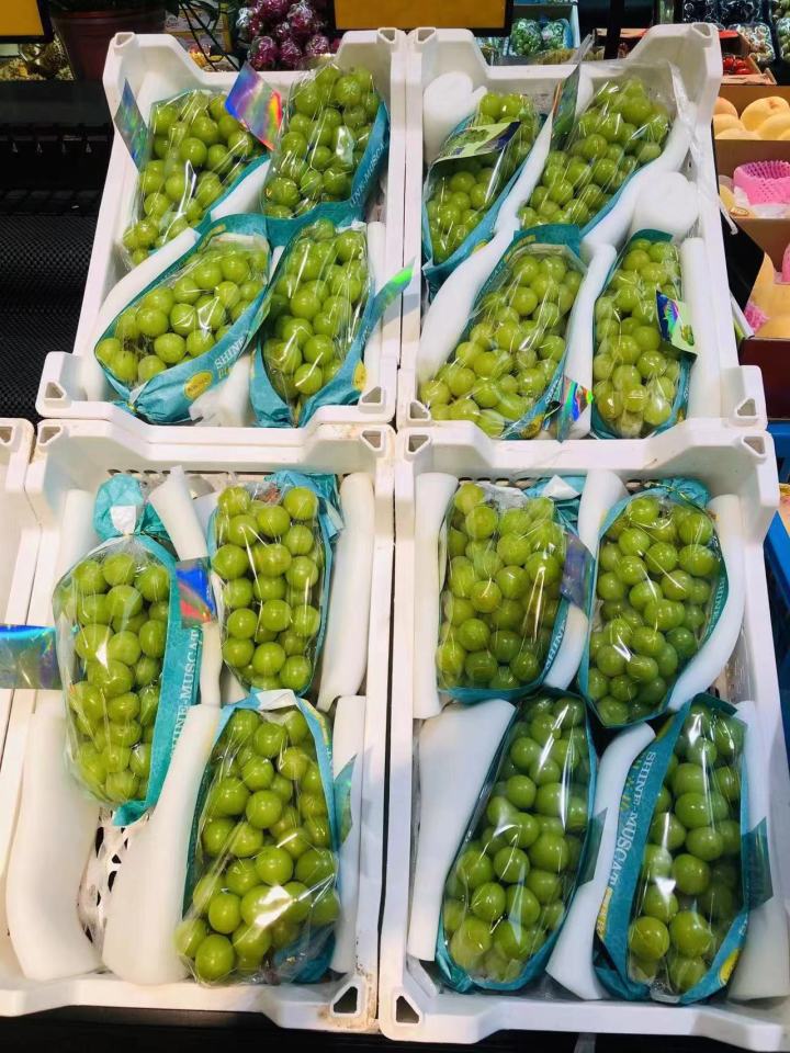 阳光玫瑰.jpg
