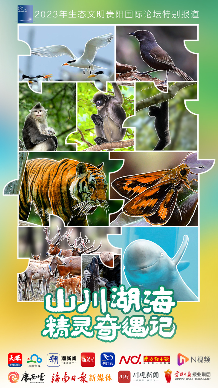 总海报.jpg