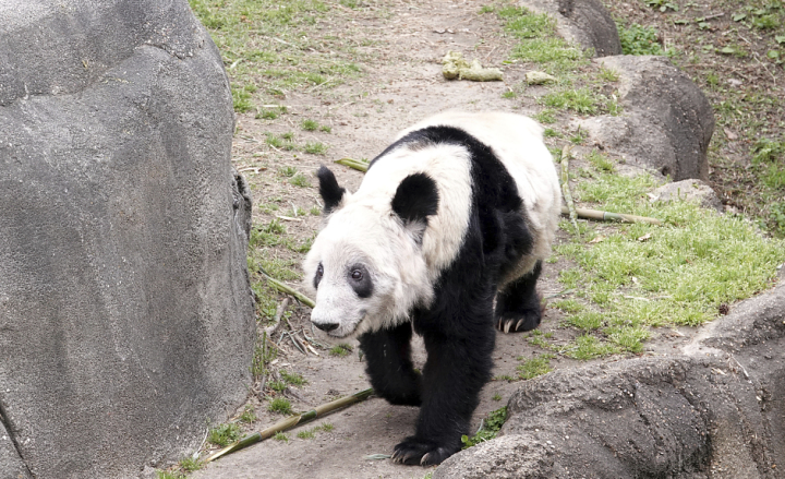 微信图片_20230712203535.png
