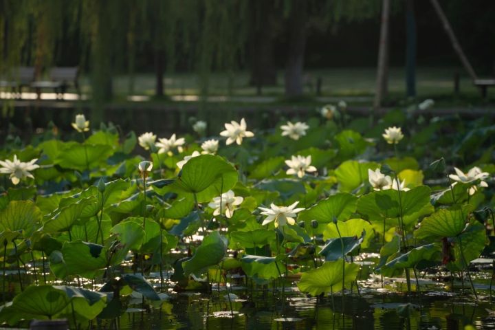 微信图片_20230714192207.jpg