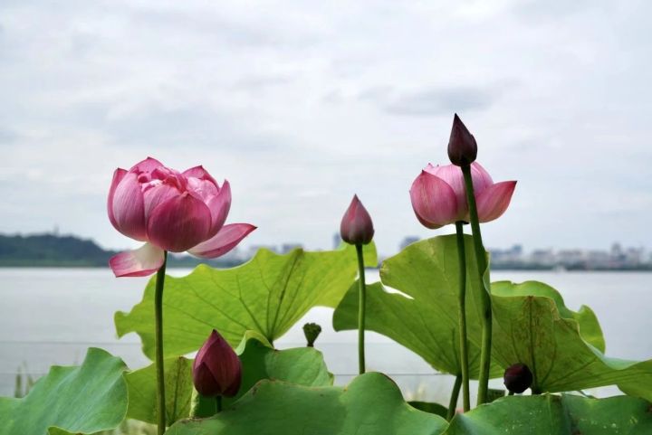 微信图片_20230714192230.jpg