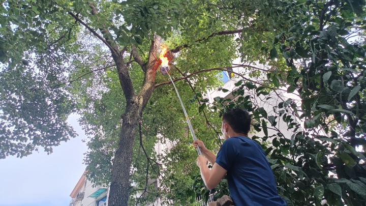 微信图片_20230703185131.jpg