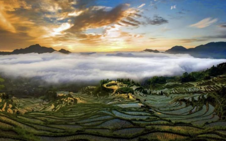 WX20230718-111123@2x.png