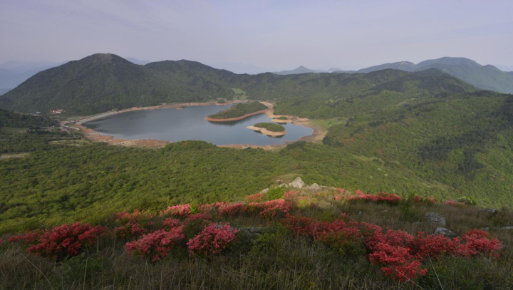 梅花鹿繁育基地.png