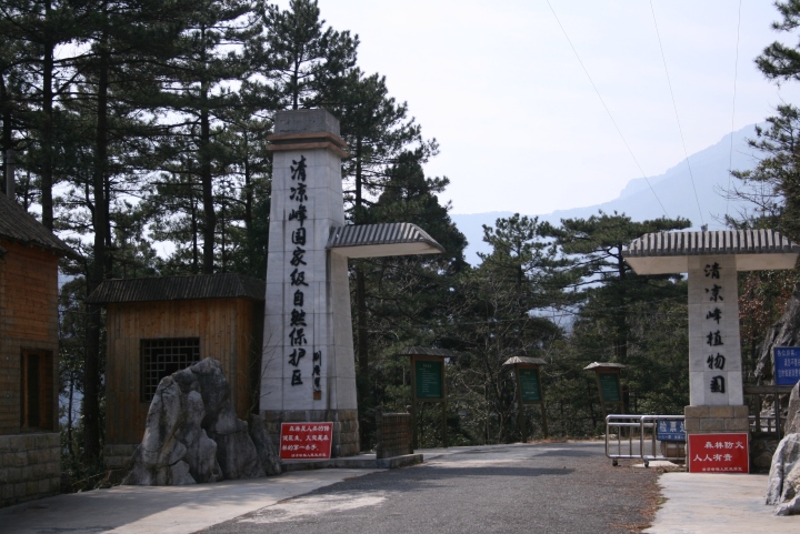 清凉峰植物园.jpg