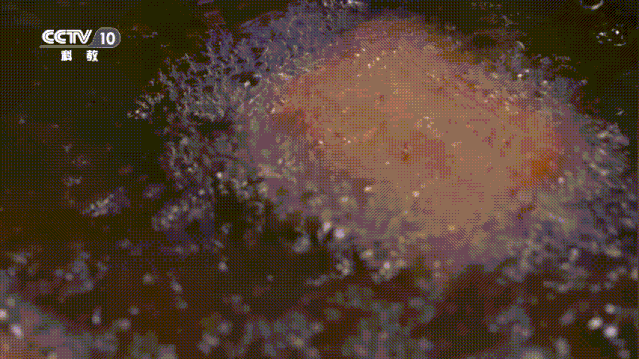 640 (2).gif