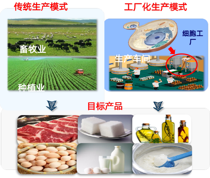 IMG_1931.PNG
